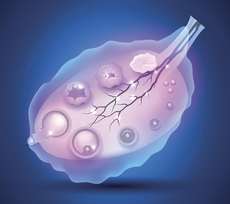 「今日要点」北京试管人工周期移植医院排名参考？北京试管比较好的医院？